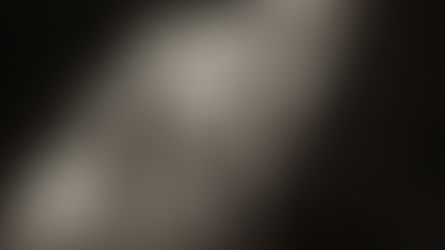 Let Us Love One Another