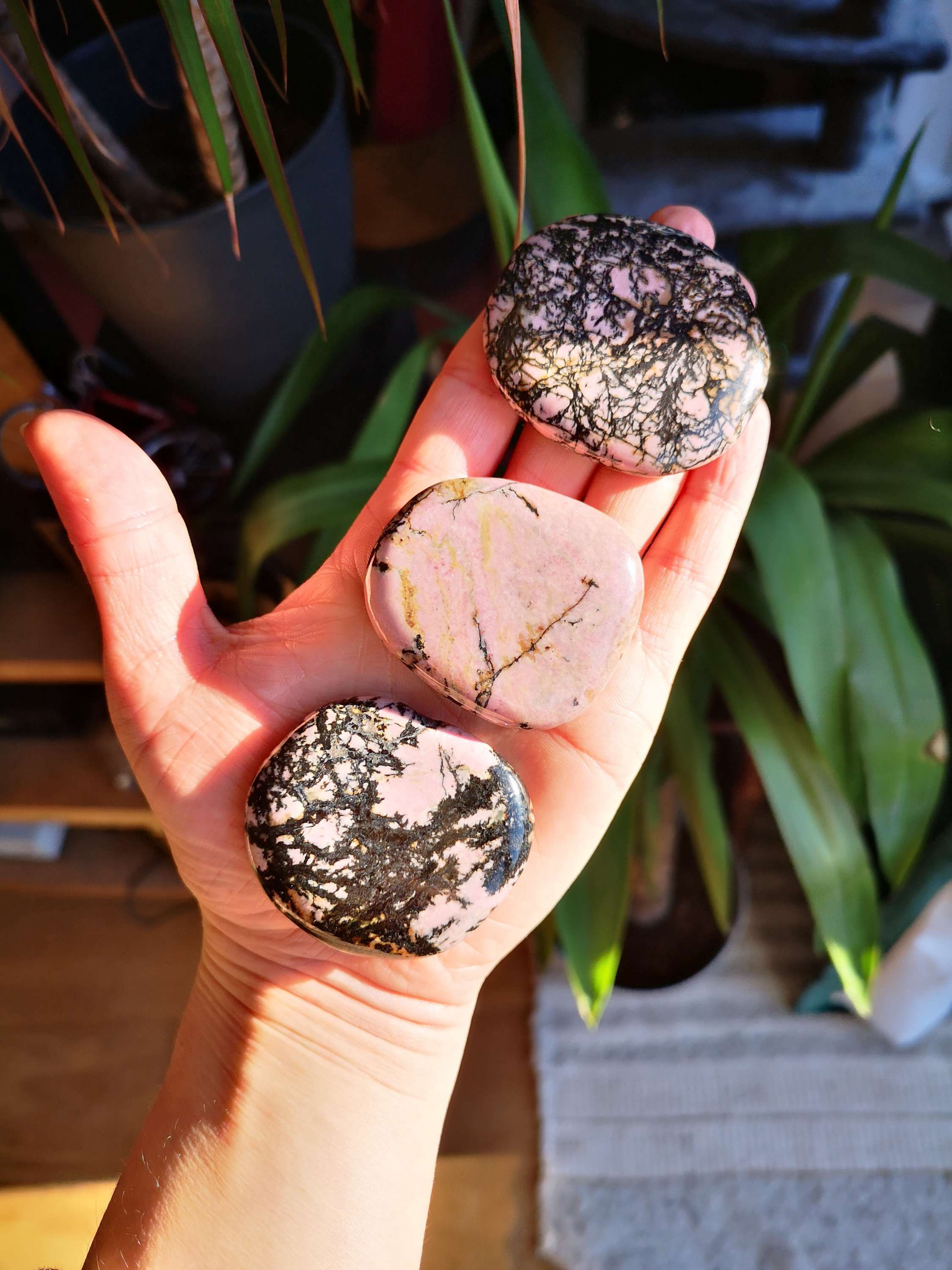 Rhonodite Palm Stone