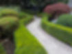 PXL_20250707_140548700.jpg