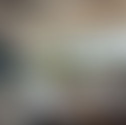 TRADITION TRIFFT DESIGN