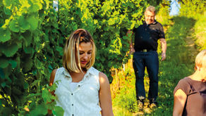StadtSchoppen | Weingut Geißendörfer