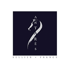 logo-antares-accueil.png