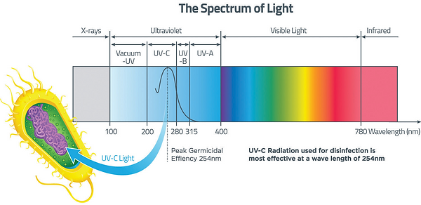 UVC - The Spectrum of Light (2).jpg.png