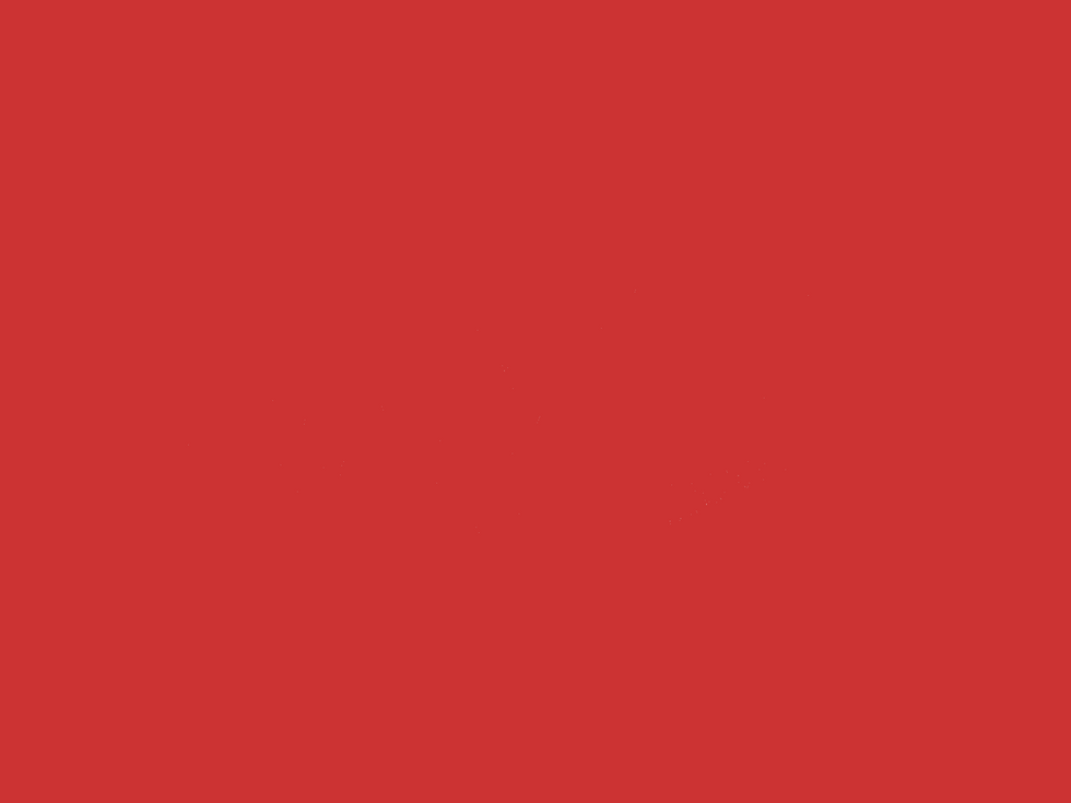 animlogo4.gif