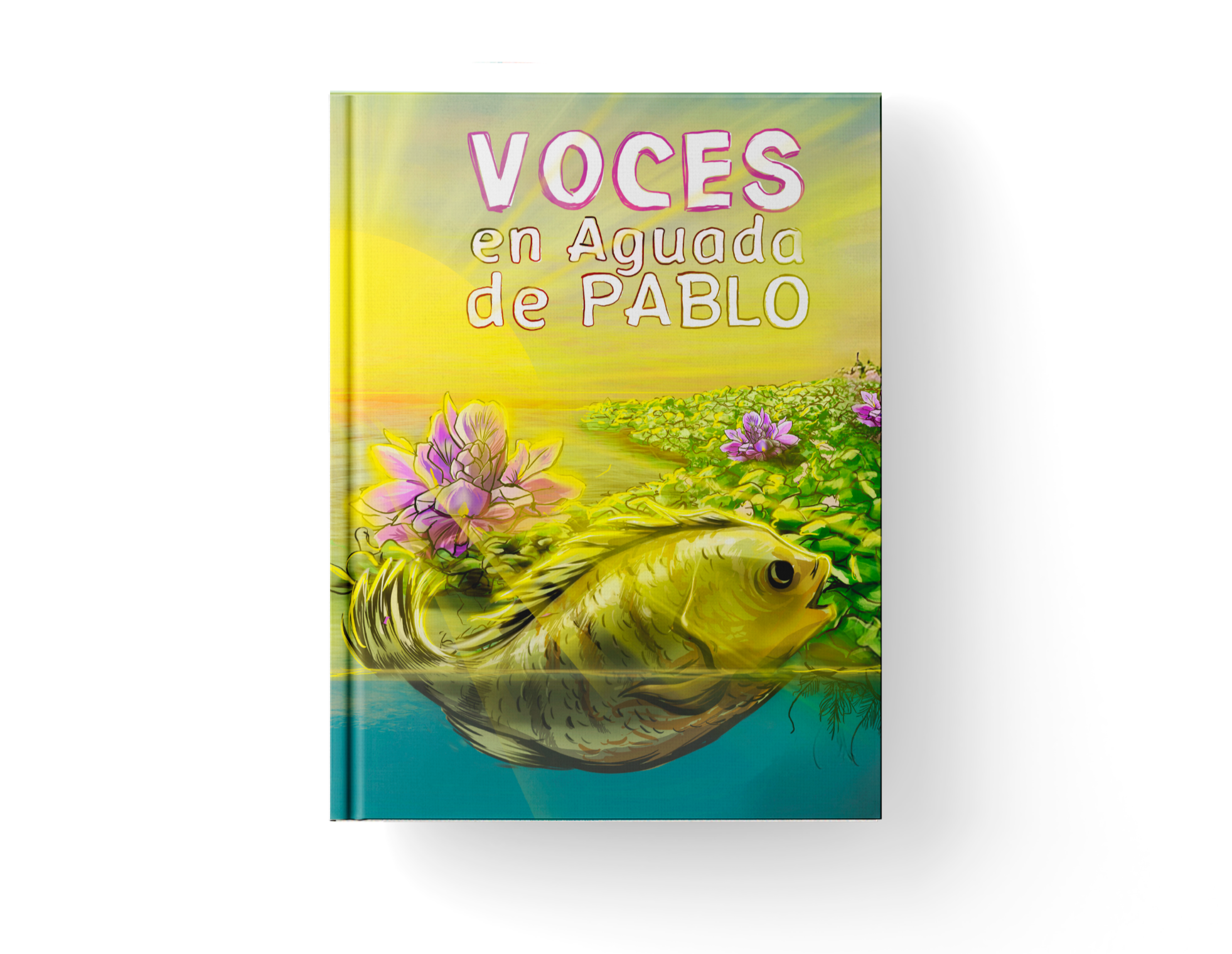 Voces en Aguada de Pablo