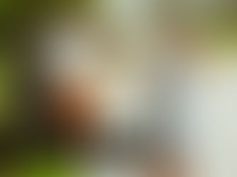 What Are the Benefits of Roadside Assistance?