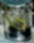 Pleione seedlings in asymbiotic culture.JPG