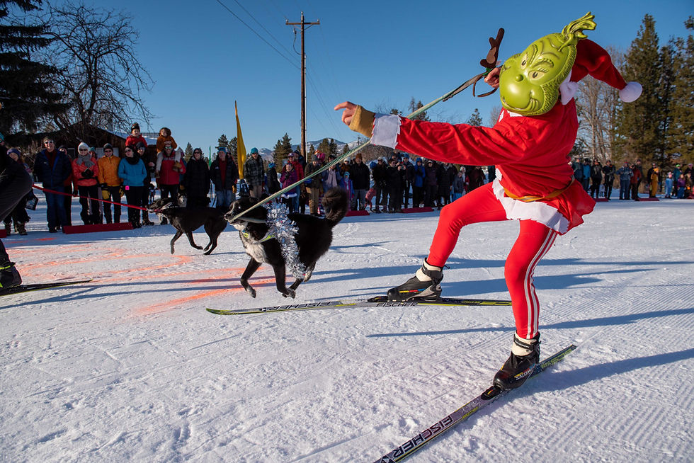 Doggie Dash
