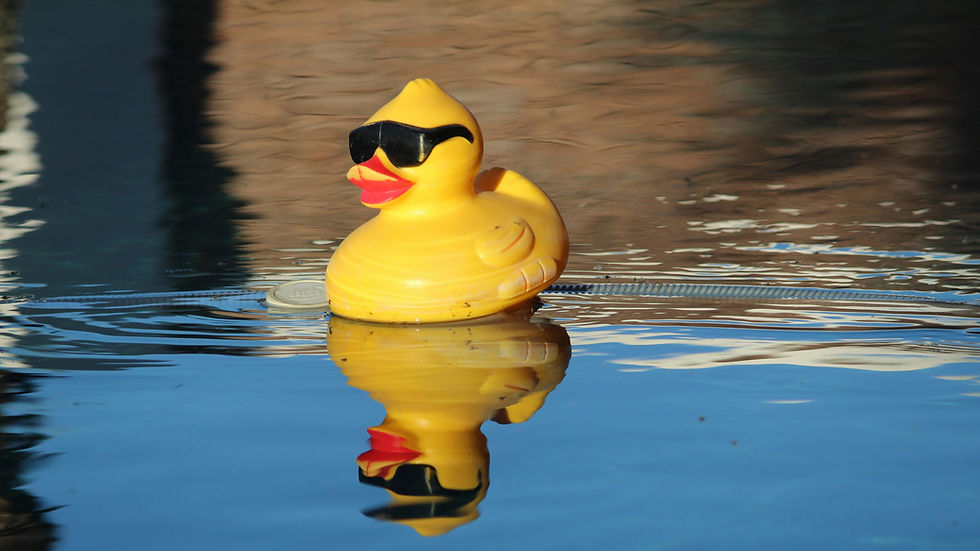 Kiwanis Duck Race