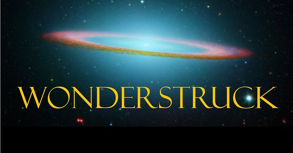 Wonderstruck: Serendipity, Synchronicity, and the Metaphysics of Physics.