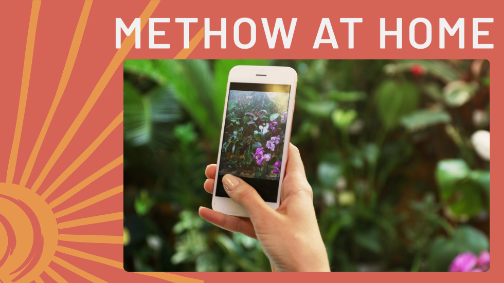 Intro to Photo Editing Tools