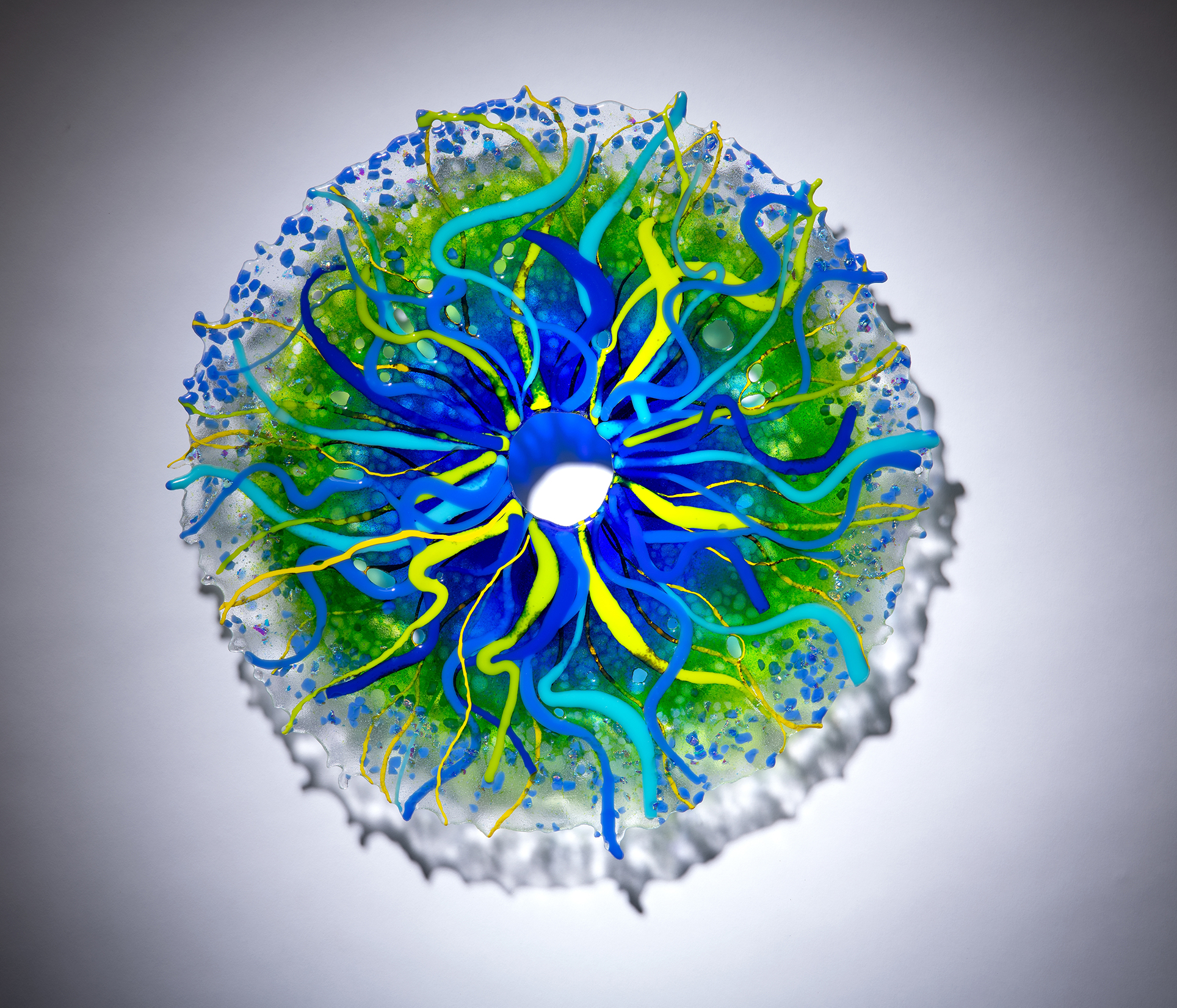 "Anemone" (cluster)