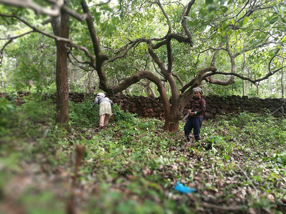 bd4b0ff1-c159-45ce-a448-bae7391df3b9