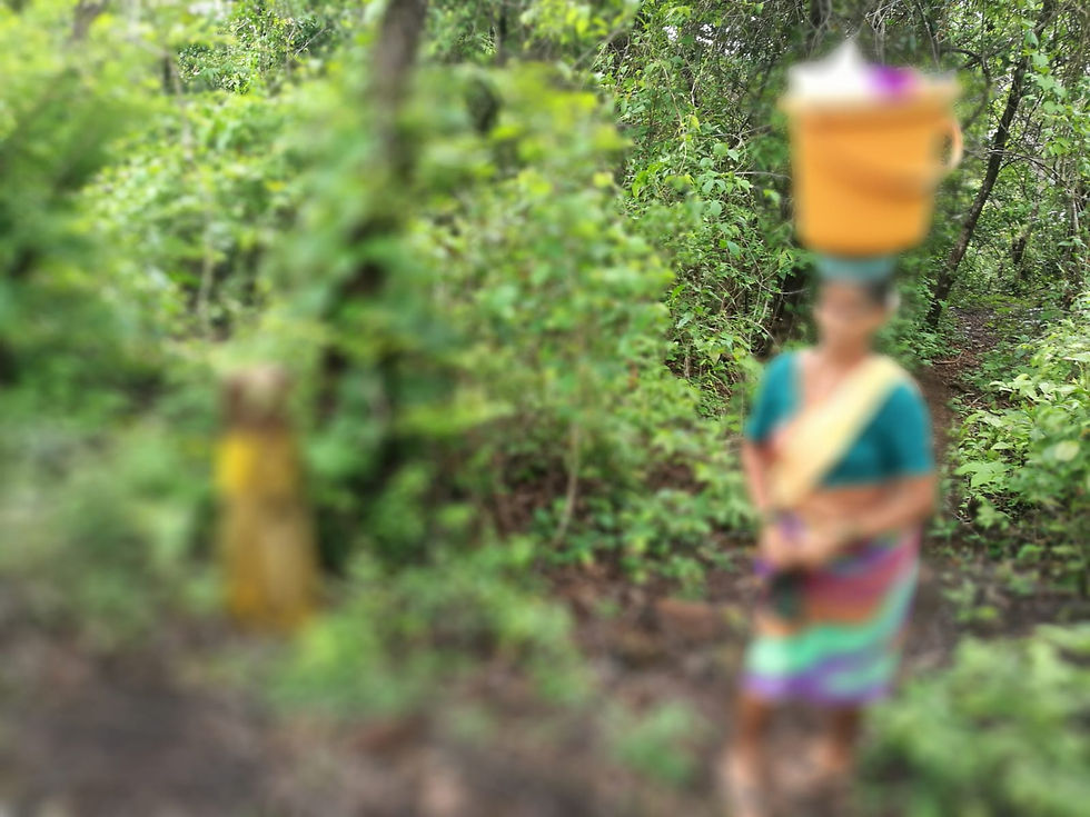 15a184e2-0eee-4f44-aa87-ba3daf046ed5