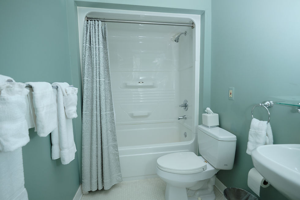 Deluxe Queen Guest Room bathroom