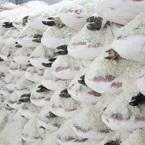 salting-min (1).webp