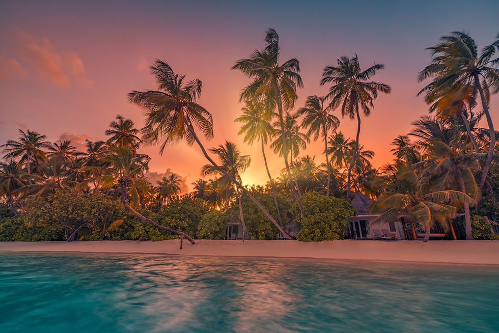 Sunset landscape with beach, ocean and palm trees