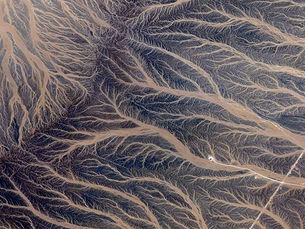 Sclerotherapy treatment Belper