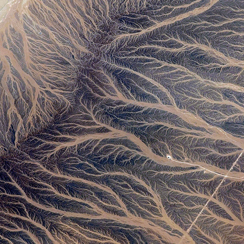 Waller Psychology website image sourced from Wix.com which shows a pattern that could represent connection - looks like waterways viewed from space or veins in a leaf