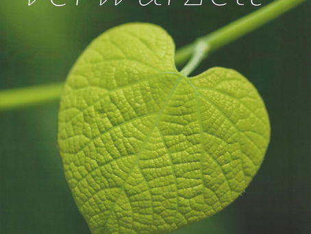 „Verwurzelt in der Liebe“ – Weltgebetstag für geistliche Berufungen