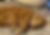 B79B71C8-9B7B-4DFA-9789-3DA790B6660F.jpg