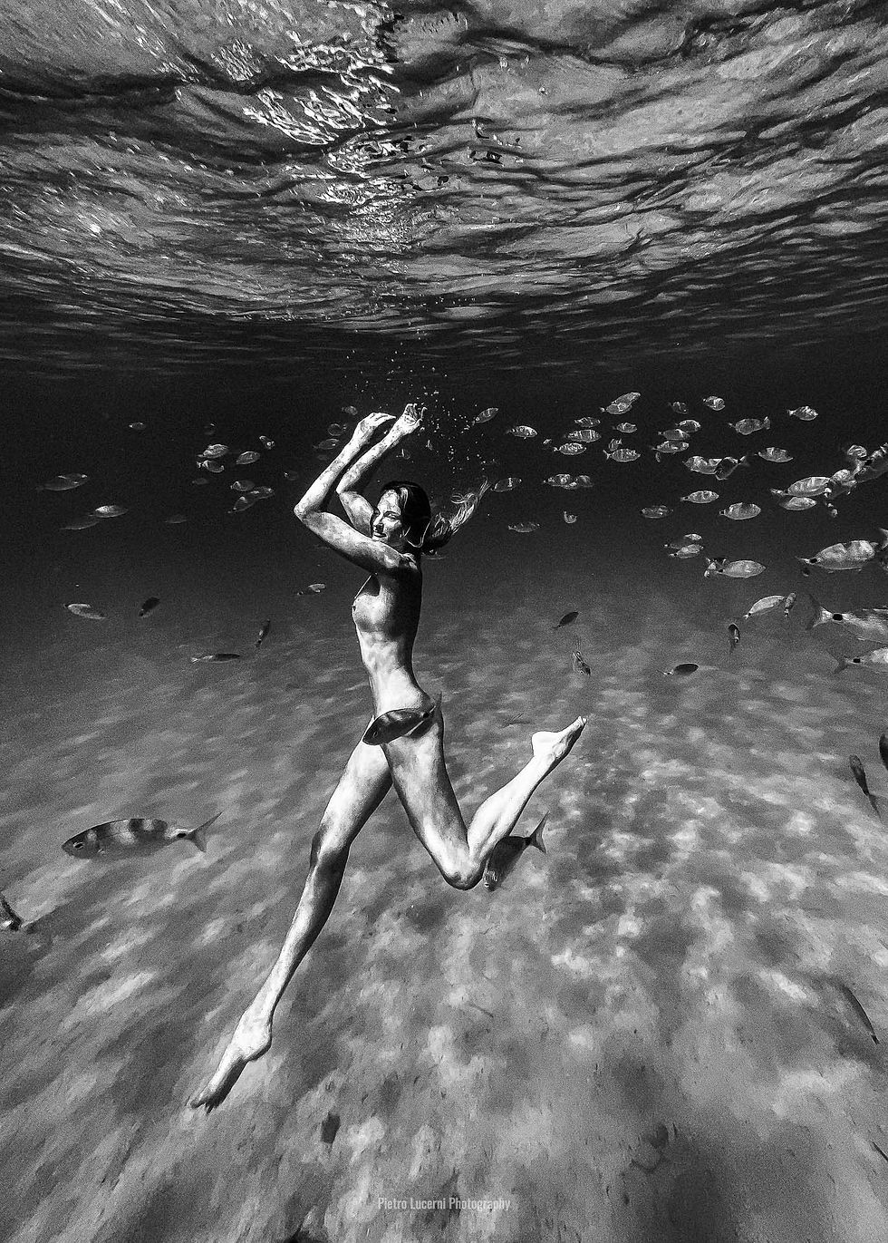 Thumbnail: ELEMENTS: My Body, My Planet