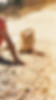 E5752090-803C-478B-844F-170FC5ECC77A_1_102_o.jpeg