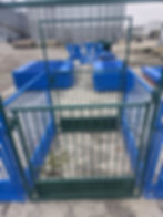 20251119_152647.jpg