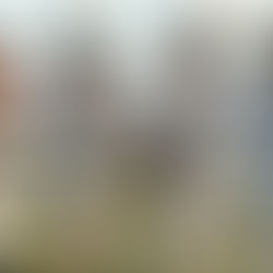 DUS Opens WPL 2026 Season With Sterling Cup Victory Over The Boca Raton