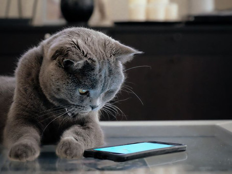 Texting Makes Life Easier