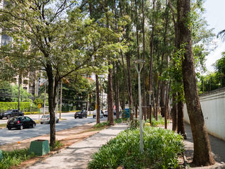 Pista de cooper de Alphaville se consolida como espaço de bem-estar e atividade física 