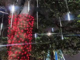 Alphaville iluminada: AREA acende o Natal no Centro Empresarial