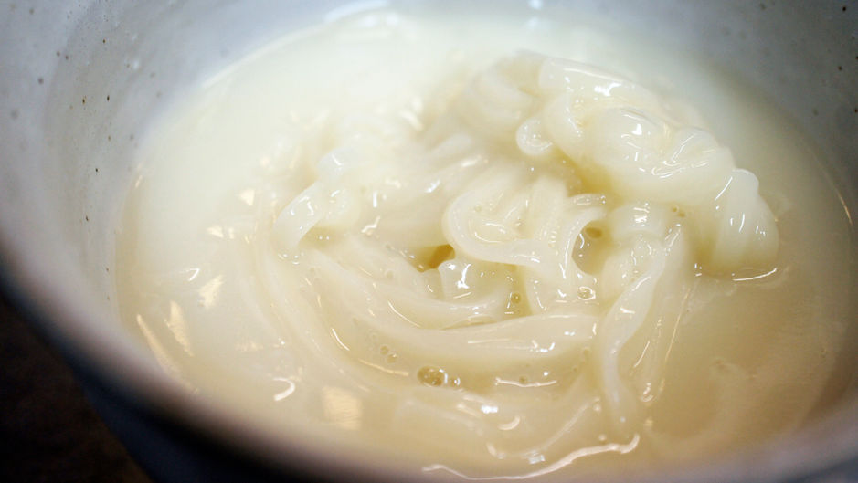 「蛤と脱脂粉乳の稲庭うどん」