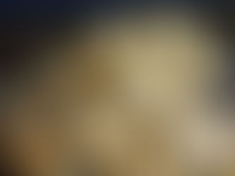 「茸のヨーグルトパスタ」