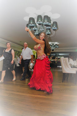 IMG_0911