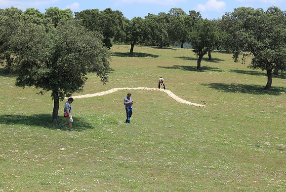 Sheep, audiovisual art, artist residency