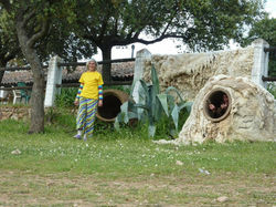 Lágrimas de Cocodrilo