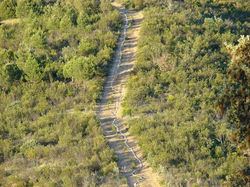 Mónica Gabriel y Galán IIIWS (4)