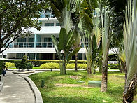 IMG_8928 2.jpg