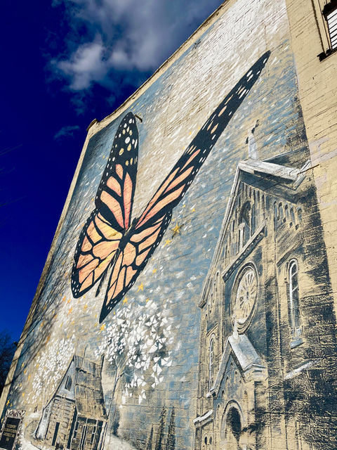 The Monarch - Vesna Delevska