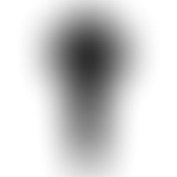 Will the Local Plan review bring housing targets in line with new population predictions