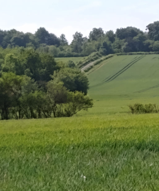 If the University is serious about sustainability, install on-site first