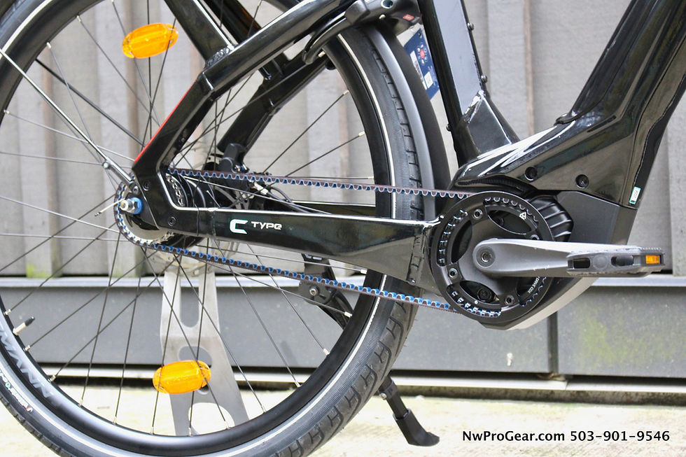 Thumbnail: Bianchi E-Omnia C-Type E-Bike