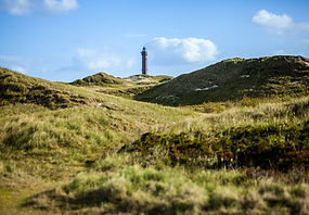 Leuchtturm vor grüner Düne - Traumatherapie Hannover