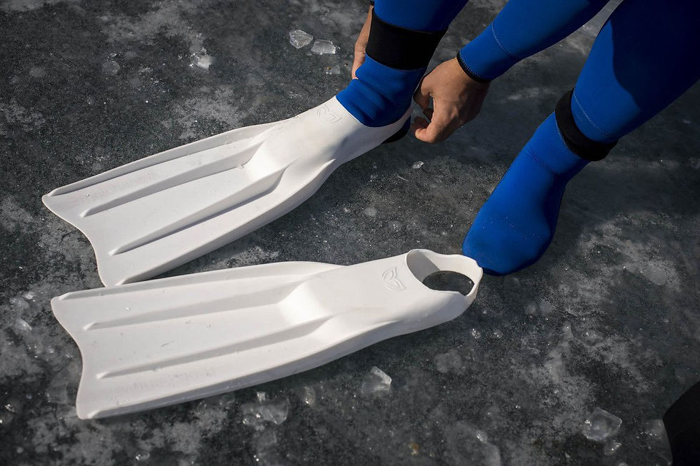 ภาพขนาดย่อ: Molchanovs CORE Silicone Bifins