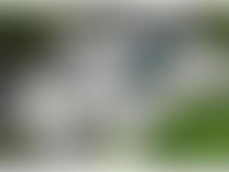 3DPRINT.COM : 765 North Mountain Road