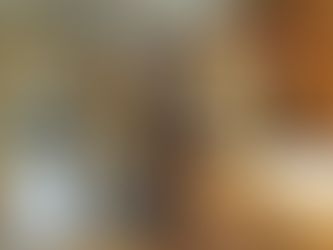 New York Observer: It’s Free to Look: An MTA-rific Penthouse Made of Subway Cars