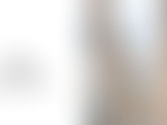 "A Last Peek Inside One of New York's Boldest Renovations" written by Aaron Short with visuals by Lisa Corson