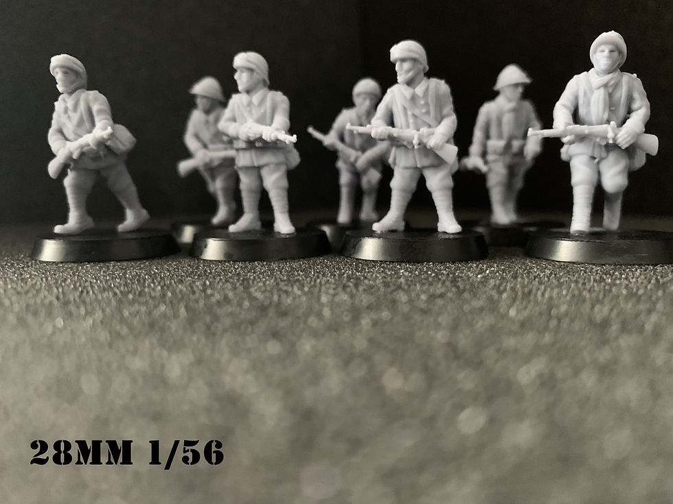 Miniature : French  DLM Dragons Portés Combat Escouade 2