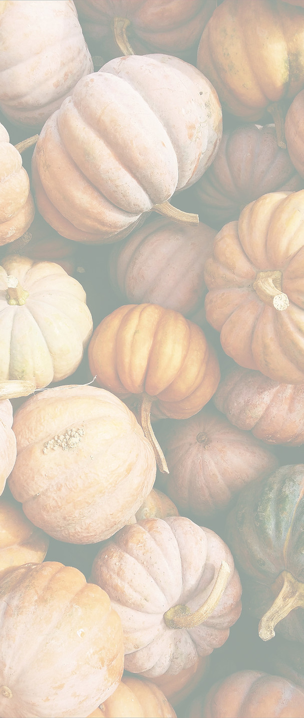 Autumn Harvest Pumpkins_edited.jpg
